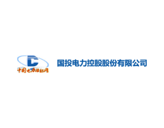 国投电力控股