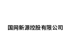 国网新源控股有限公司